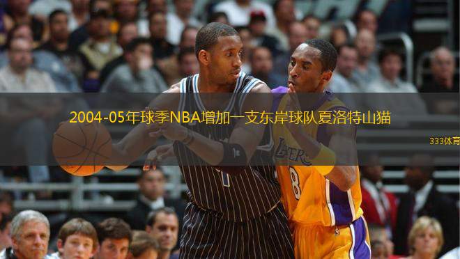 2004-05年球季NBA增加一支東岸球隊(duì)夏洛特山貓(現(xiàn)名夏洛特黃蜂)，由29隊(duì)增加至30隊(duì)，因應(yīng)球隊(duì)的增加，NBA的賽制亦相應(yīng)改變。
